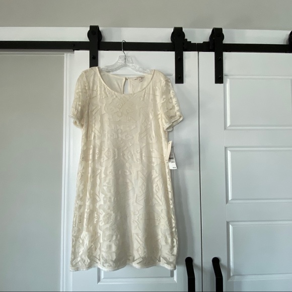 Ella Moss Dress Ivory Lace Dress Cut to Top - Picture 2 of 8